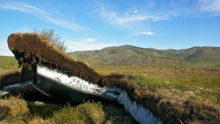 Forêts de Mongolie AP