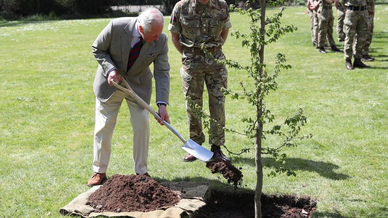 Prince Charles planted a tree in the grounds of Windsor Castle