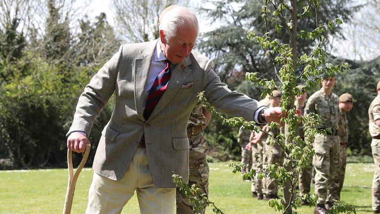 Prince Charles has described the project as a &#39;tree-bilee&#39;