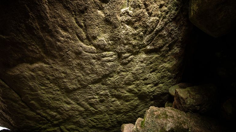 Historic Environment Scotland has said there are deer carvings visible on this rock