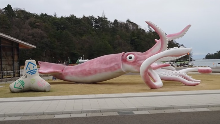 https://mothership.sg/2021/05/giant-squid-noto-japan/