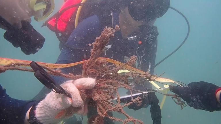 A group has been carrying out clean-up dives with volunteers