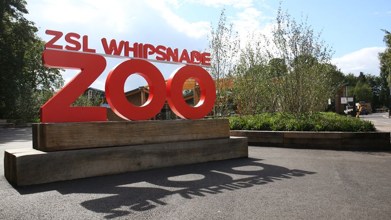 Whipsnade Zoo near Dunstable, Bedfordshire