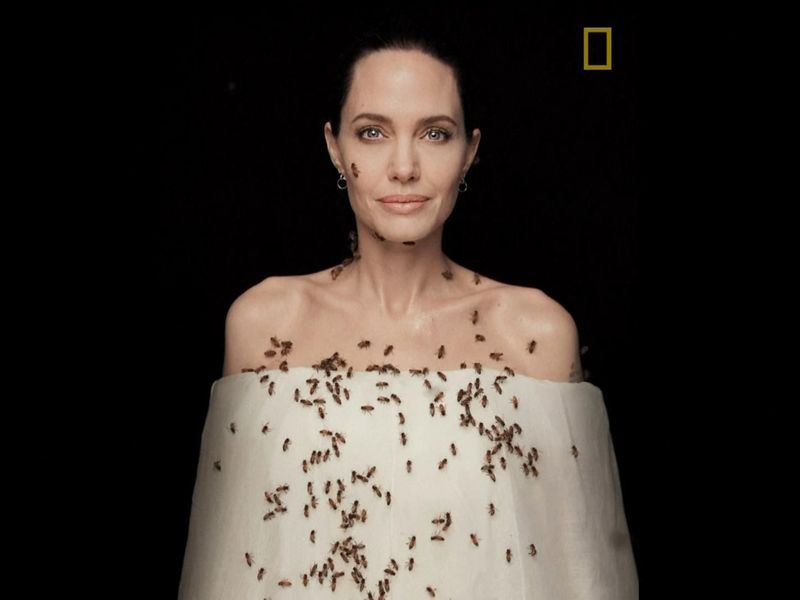 Angelina Jolie Covered In Bees For World Bee Day Ents Arts News Sky News