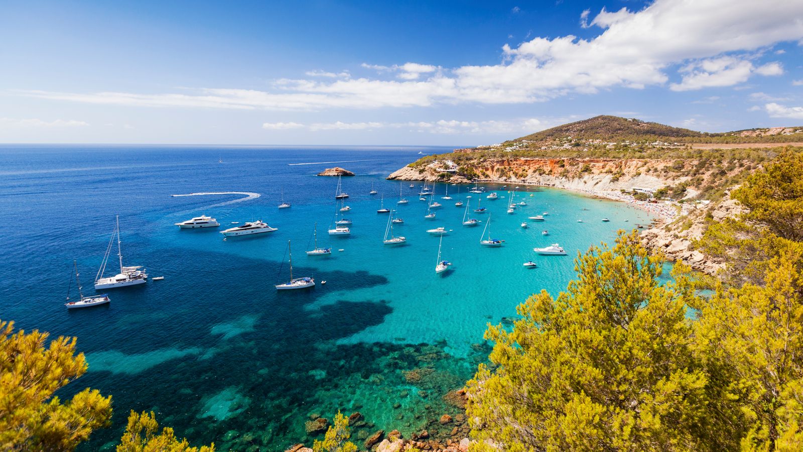 Dengue fever cases in Ibiza prompts warning to tourists from Spanish health officials