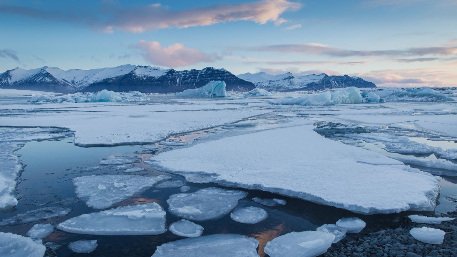 The Daily Climate Show: New fears for Arctic ice | Climate News | Sky News