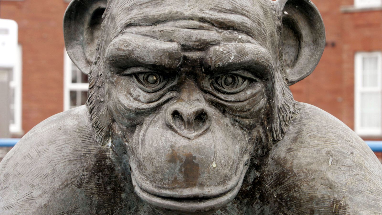 skynews-monkey-statue-hartlepool_5408900