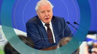David Attenborough attends a conference about the COP26 UN Climate Summit, in London  