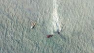 Satellite images show a huge oil slick flowing from part of the damaged ship. Pic: Planet Labs