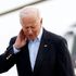 Flying insects ground White House press flight and swarm Biden on tarmac