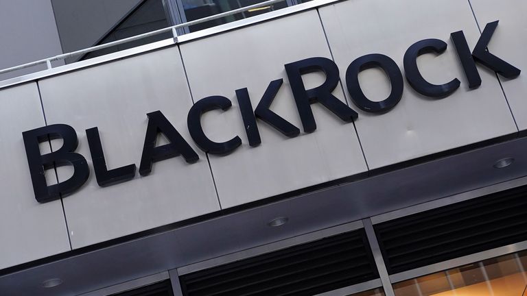 The BlackRock logo