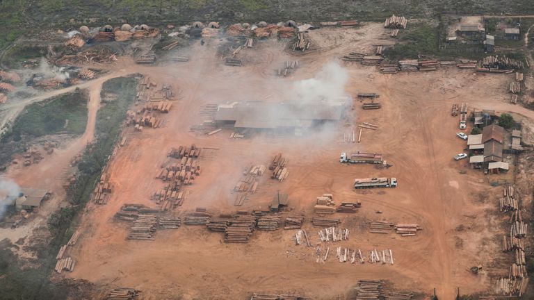 An aerial view shows logs cut from the Amazon rainforest near Porto Velho, Rondonia State