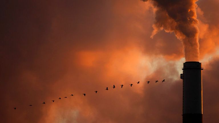 In this Jan. 10, 2009, file photo, a flock of geese fly past a smokestack at a coal power plant near Emmitt, Kan. The Biden administration said Friday, June 4, 2021, it is canceling or reviewing a host of actions by the Trump administration to roll back protections for endangered or threatened species, with a goal of strengthening a landmark law while addressing climate change. (AP Photo/Charlie Riedel, File)