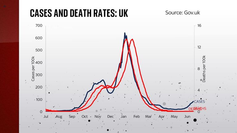 Covid death uk Fact Check