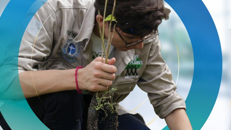 Felix Finkbeiner founded Plant for the Planet to call on the world to replant one trillion trees 