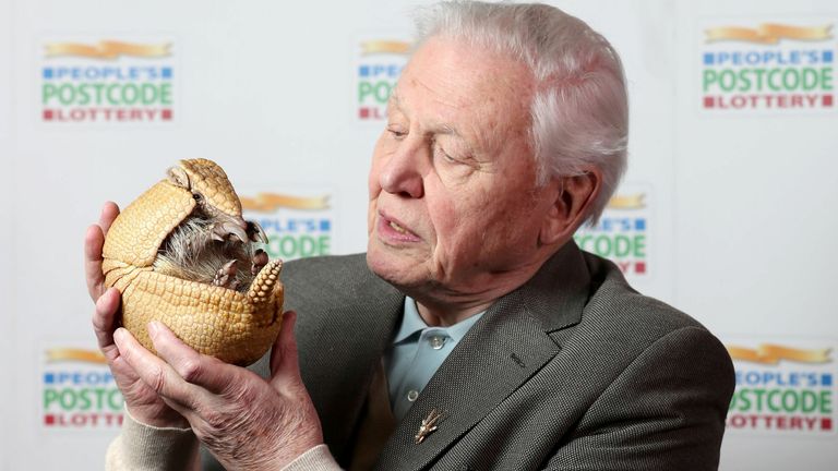 2017  Sir David Attenborough holds &#39;Inti&#39;, an armadillo from Edinburgh Zoo, before receiveing a Â£250,000 cheque from the People&#39;s Postcode Lottery for the charity Fauna & Flora International of which he is Vice-President, at Prestonfield House, Edinburgh.
