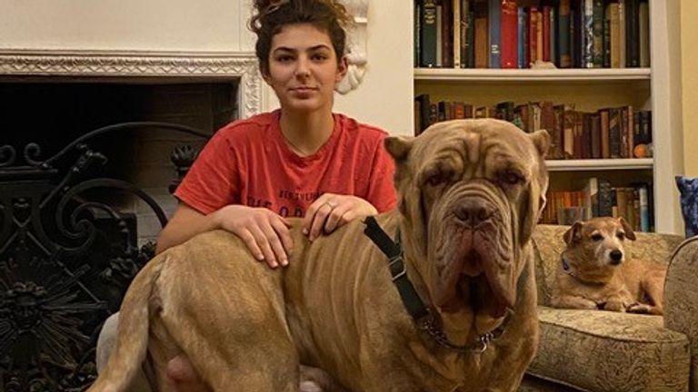 Eton at home with Anna White&#39;s daughter and one of their other dogs. Pic: Anna White/ RSPCA