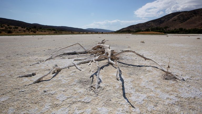 A view of Elizabeth Lake, that has been dried up for several years, as the region experiences extreme heat and drought