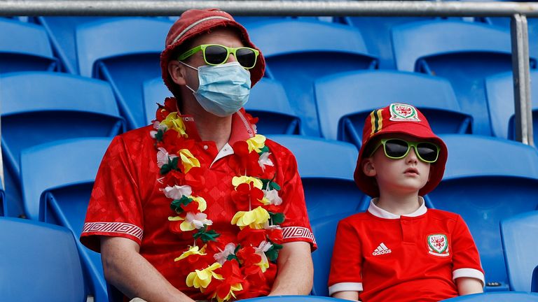 Wales fans. Pic: AP