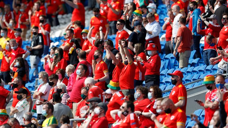 Wales fans. Pic: AP