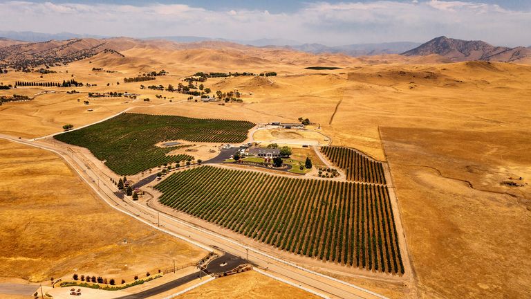 Crops line a parcel amid dry land on Thursday, June 17, 2021, near Sanger in unincorporated Fresno County, Calif. California officials say the drought gripping the U.S. West is so severe it could cause one of the state&#39;s most important reservoirs to reach historic lows by late August. (AP Photo/Noah Berger).