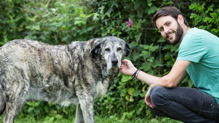 Dog trainer Jordan Shelley with Spanish mastin Nana, who died in the summer of 2020