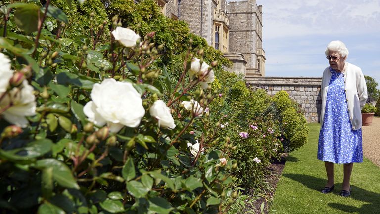 La reina Isabel II domina la frontera en los jardines del Castillo de Windsor, en Berkshire, donde recibió la rosa del Duque de Edimburgo, que le regaló la Royal Horticultural Society. 