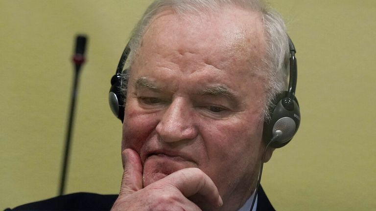 Mladic is pictured in court at The Hague on Tuesday. Pic: AP