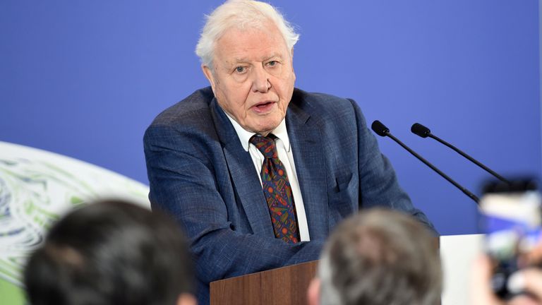 David Attenborough attends a conference about the COP26 UN Climate Summit, in London
