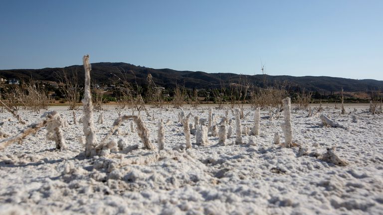 The Elizabeth Lake in California has dried up after several years of extreme weather a drought conditions 