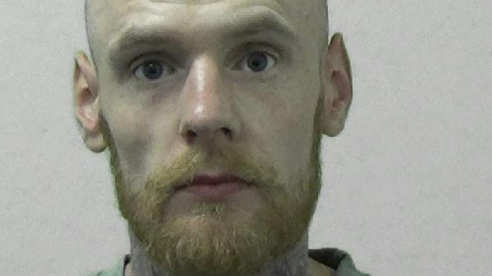 amateur offender part 1