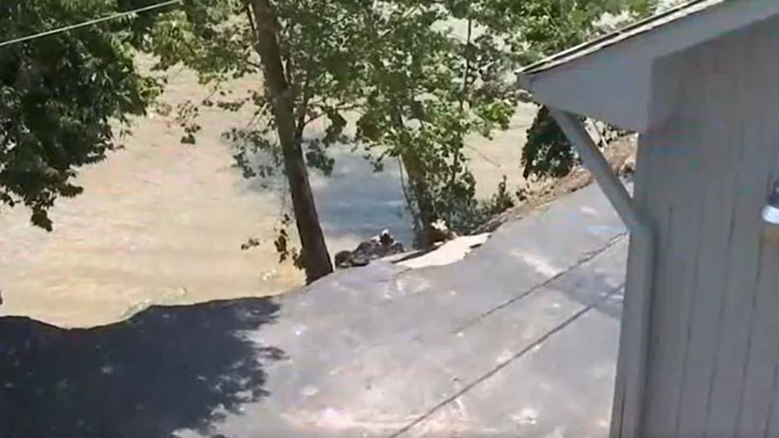 Car pulled back from edge as riverbank collapses in Kentucky US News