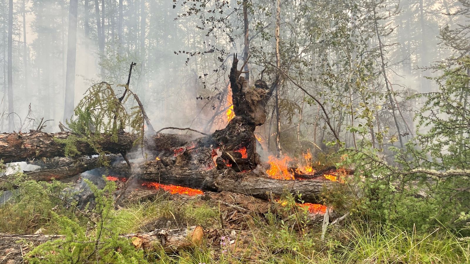 Siberia Battles Wildfires After Hottest And Driest June For 133 Years   Skynews Siberia Wildfires 5455060 