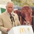 Prince's Foundation chairman quits over claims of six-figure sum from Russian donor
