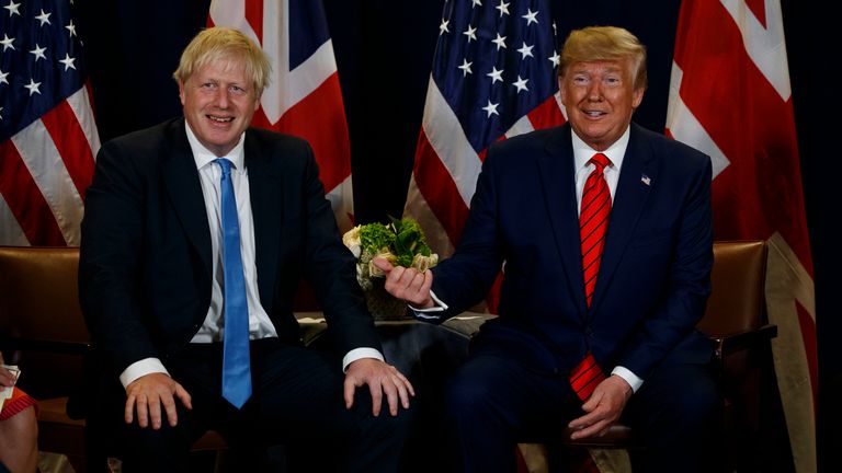 President Donald Trump meets with British Prime Minister Boris Johnson at the United Nations General Assembly, Tuesday, Sept. 24, 2019, in New York. (AP Photo/Evan Vucci) .                                                                                                                                                                                                                                                                                                                                                                                                                                                                                                                                                                       