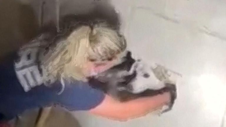 US: Dog rescued from between two walls in Ohio | Offbeat News | Sky News