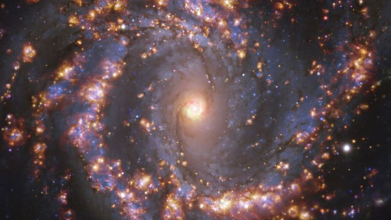 Dieses Bild, das vom Multi-Unit Spectroscopic Explorer (MUSE) am Very Large Telescope (VLT) der ESO aufgenommen wurde, zeigt die Nachbargalaxie NGC 4303. NGC 4303 ist eine Spiralgalaxie mit einem Balken aus Sternen und Gas in ihrem Zentrum, die sich etwa 55 Millionen Lichtjahre von der Erde entfernt im Sternbild Jungfrau.  Das Bild ist eine Überlagerung von Beobachtungen, die bei verschiedenen Lichtwellenlängen durchgeführt wurden, um Sternpopulationen und heiße Gase zu kartieren.  Goldenes Leuchten entspricht hauptsächlich Wolken aus ionisiertem Wasserstoff, Sauerstoff und schwefelhaltigem Gas, die das Vorhandensein neu geborener Sterne markieren, während bläuliche Hintergrundregionen die Verteilung etwas älterer Sterne offenbaren. ... die Physik mit hoher Winkelauflösung in nahen Galaxien (PHANGS .) ) Projekt, das hochauflösende Beobachtungen von nahen Galaxien mit Teleskopen durchführt, die über das elektromagnetische Spektrum hinweg arbeiten