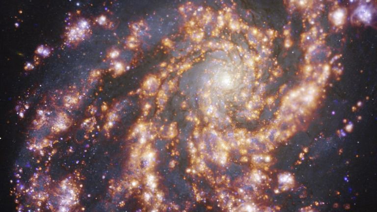 Dieses Bild, das mit dem Multi-Unit Spectroscopic Explorer (MUSE) am Very Large Telescope (VLT) der ESO aufgenommen wurde, zeigt die Nachbargalaxie NGC 4254. NGC 4254 ist eine große Spiralgalaxie, die etwa 45 Millionen Jahre alt ist - Licht der Erde im Sternbild Koma Berenikes.  Das Bild ist eine Kombination von Beobachtungen, die bei verschiedenen Lichtwellenlängen durchgeführt wurden, um Sternpopulationen und heißes Gas zu kartieren.  Das goldene Leuchten entspricht hauptsächlich Wolken aus ionisiertem Wasserstoff, Sauerstoff und schwefelhaltigem Gas, die das Vorhandensein neu geborener Sterne anzeigen, während die bläulichen Regionen im Hintergrund die Verteilung weiterer Sterne erkennen lassen.  Das Bild wurde im Rahmen des Projekts Physics at High Angular Resolution in Nearby GalaxieS (PHANGS) aufgenommen, das hochauflösende Beobachtungen naher Galaxien mit Teleskopen im elektromagnetischen Spektrum durchführt.