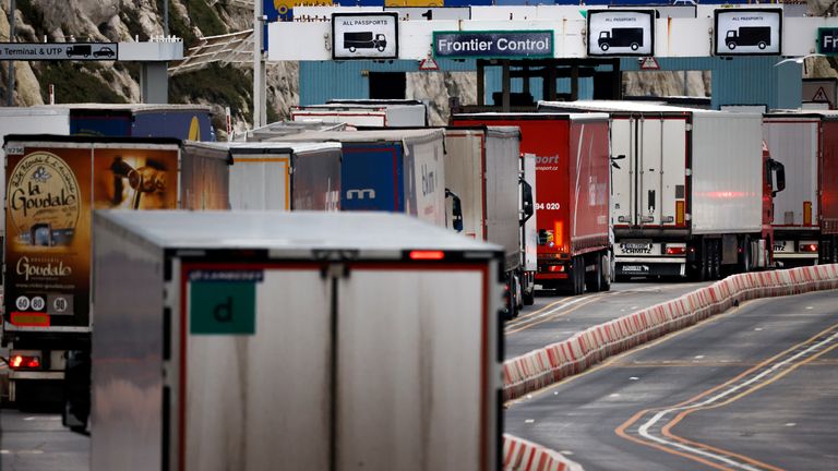 Lorries queue in at the border control of the Port of Dover in Dover