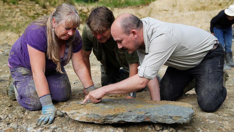 Neville (left) and Sally Hollingworth join Dr Tim Ewin from the Natural History Museum, as they inspect a slab during a dig in a quarry in the north Cotswolds, where preserved echinoderms, sea lilies and echinoids, dating back to middle Jurassic period, have been found after the site was discovered by them. Picture date: Thursday July 1, 2021.