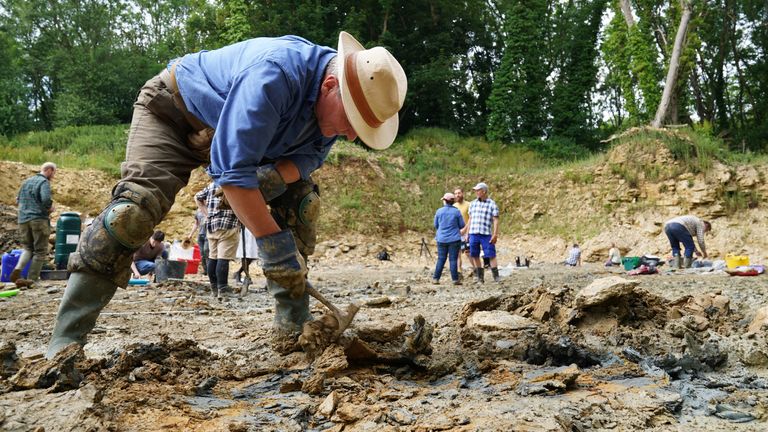 A paleontologist from the Natural History Museum works on a dig in a quarry in the north Cotswolds, where preserved echinoderms, sea lilies and echinoids, dating back to middle Jurassic period, have been found after the site was discovered by Neville and Sally Hollingworth. Picture date: Thursday July 1, 2021.
