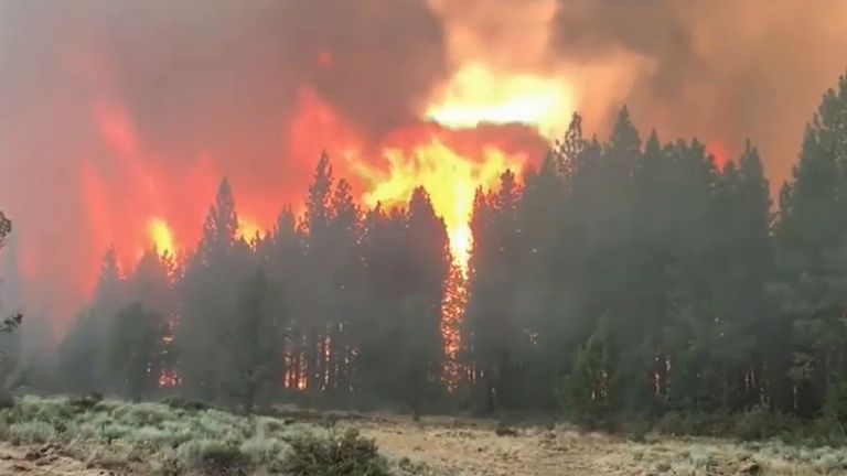A wildfire in Oregon has spread over 75,000 acres