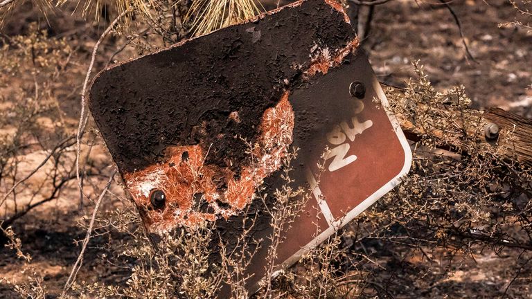 The remains of a charred sign marking a US National Forest road in Oregon Pic: AP 