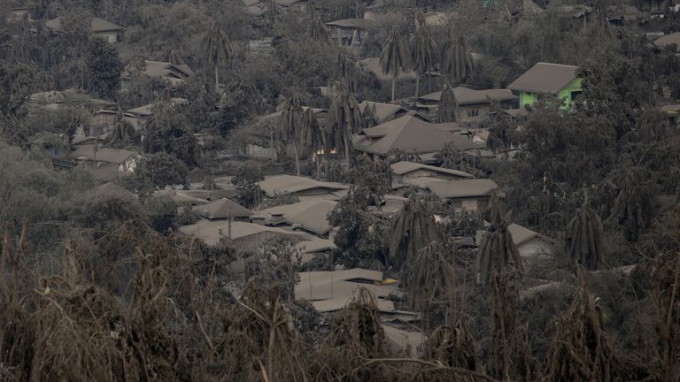 Houses covered with ashes from the erupting Taal Volcano are pictured in Talisay, Batangas, Philippines, January 13, 2020. REUTERS/Eloisa Lopez