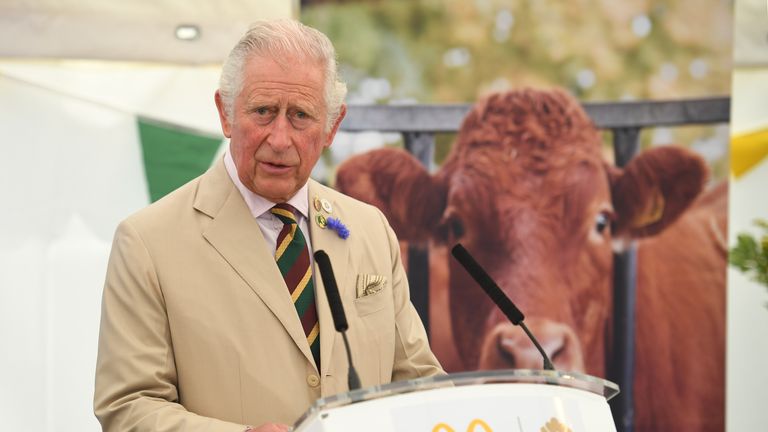 Prince Charles, left, stepped on the dung of a cow, right 