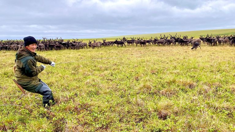 Slava Kemlil is a reindeer herder facing fresh challenges due to climate change