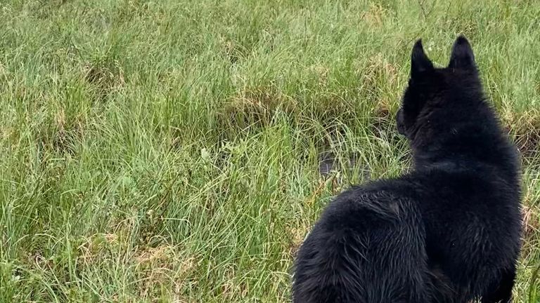 Kemlil has seen the landscape of the tundra change since his childhood