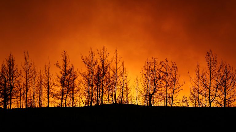Un incendio boschivo brucia vicino alla città di Manavgat, a est della città turistica di Antalya, in Turchia, il 29 luglio 2021. REUTERS/KAN SWITURK
