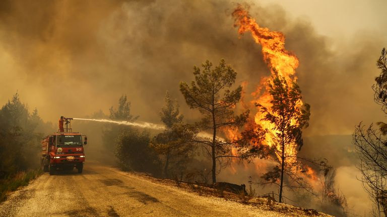 A firefighter extinguishes a forest fire near the town of Manavgat