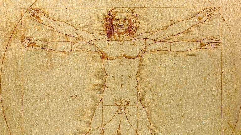 Da Vinci&#39;s Vetruvian Man